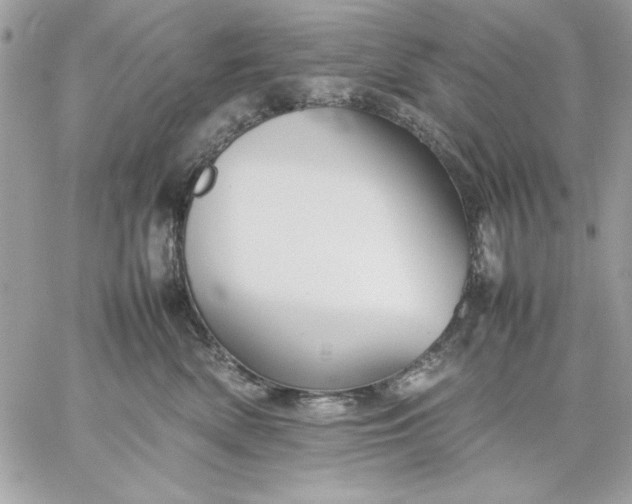 X0000059230522200510281908