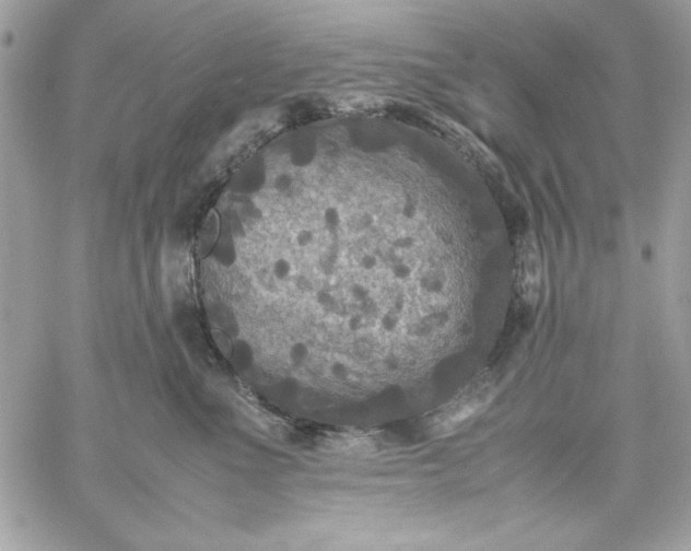 X0000059230523200510281908