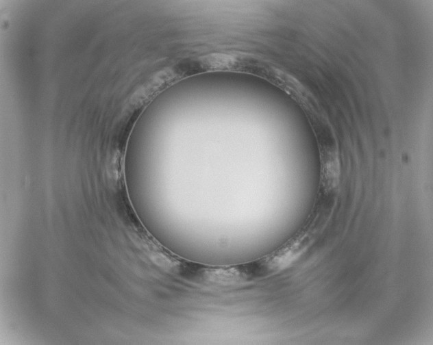 X0000059230525200510281908