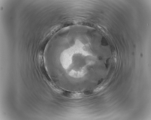 X0000059230527200510281908