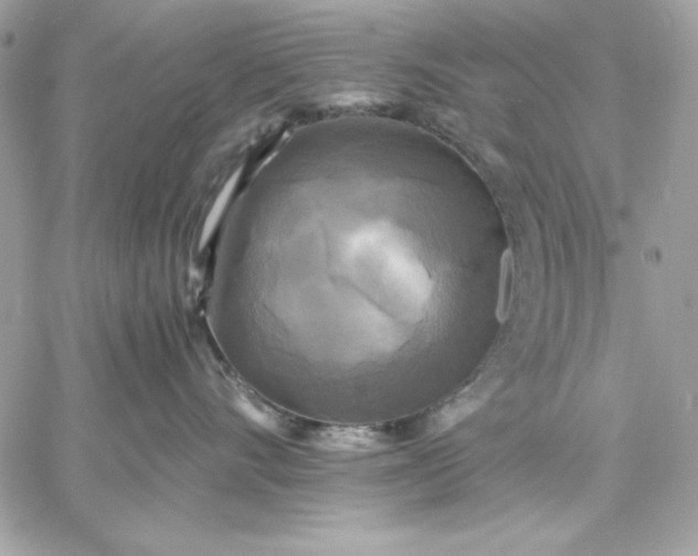 X0000059230528200510281908