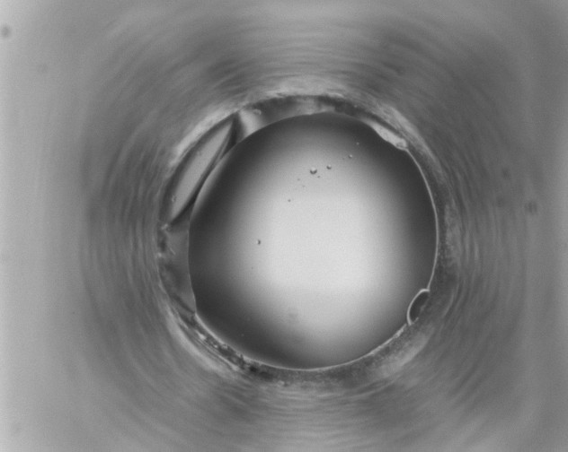 X0000059230530200510281907