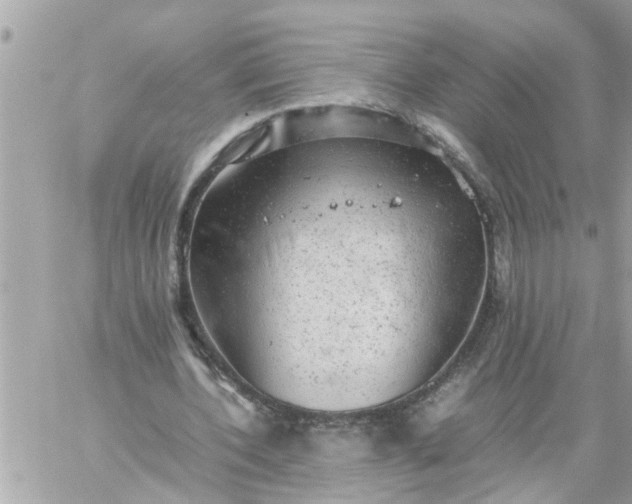 X0000059230532200510281907