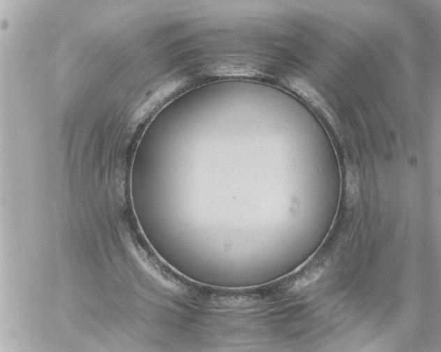 X0000059230533200510281908