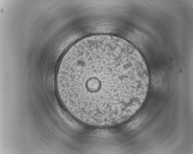 X0000059230534200510281908