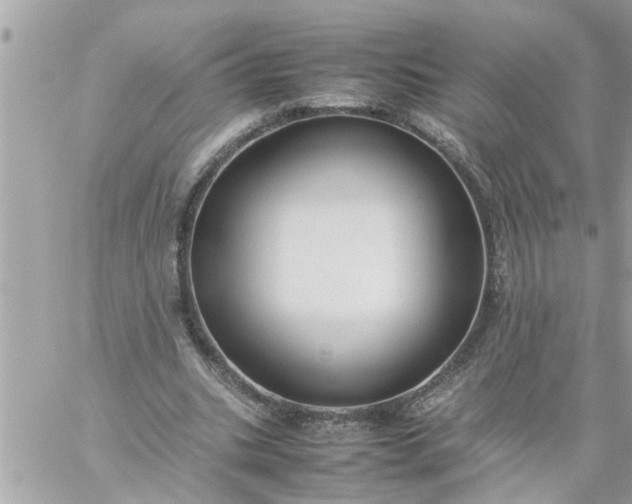 X0000059230535200510281908