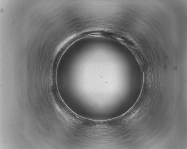 X0000059230536200510281908