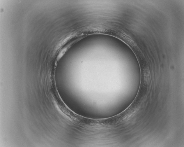 X0000059230538200510281908