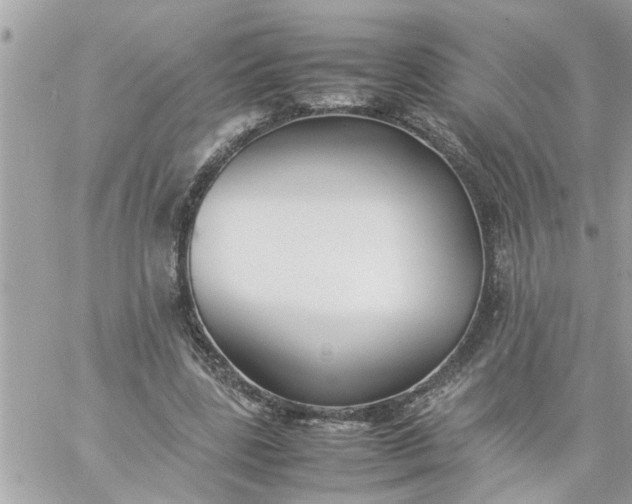 X0000059230539200510281908