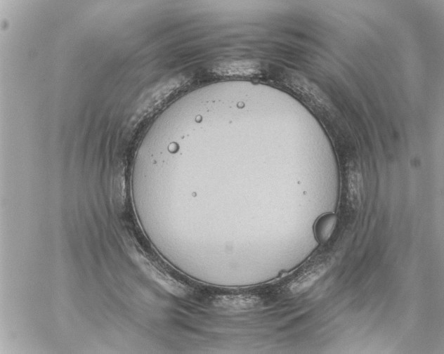 X0000059230541200510281908