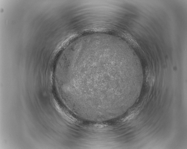 X0000059230542200510281908