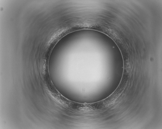 X0000059230544200510281908