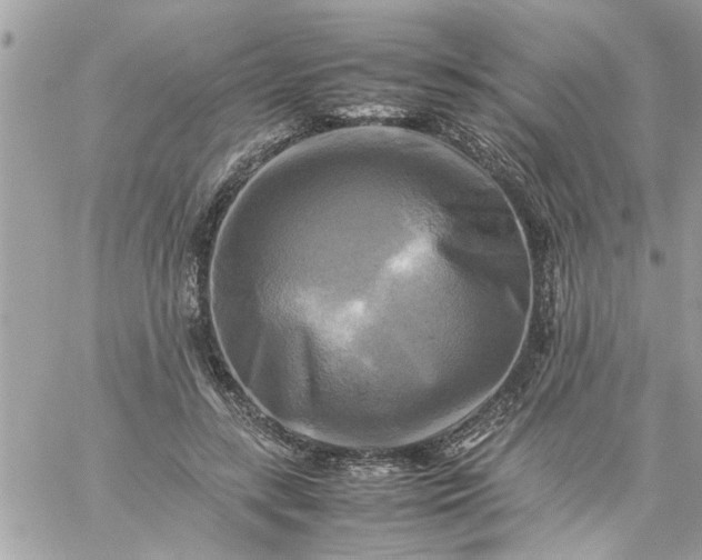 X0000059230547200510281908