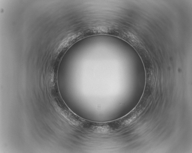 X0000059230548200510281908