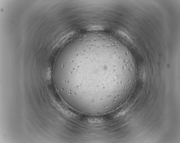 X0000059230549200510281908