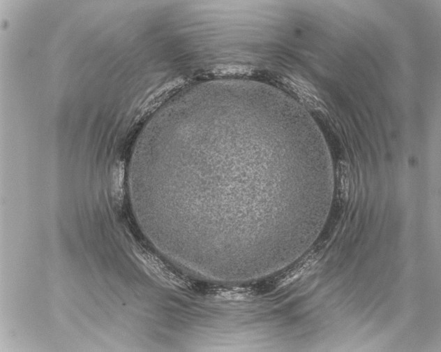 X0000059230550200510281908