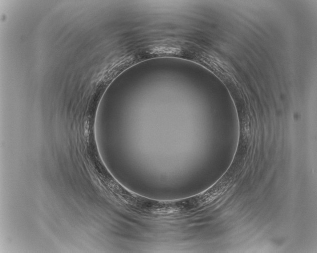 X0000059230551200510281908