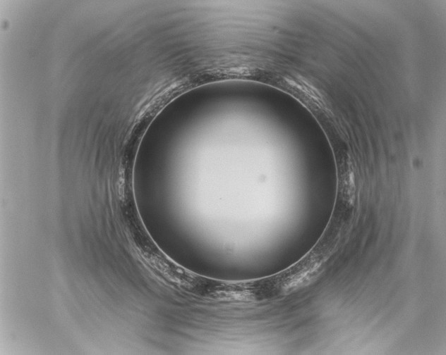 X0000059230552200510281908