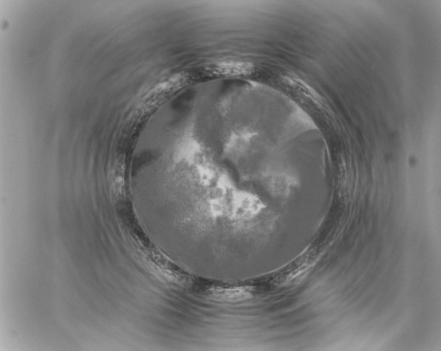 X0000059230553200510281908