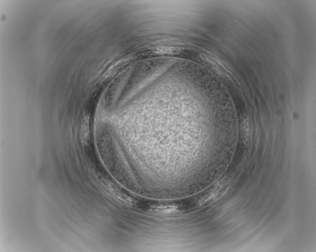 X0000059230554200510281908