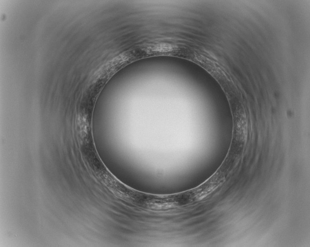 X0000059230555200510281908