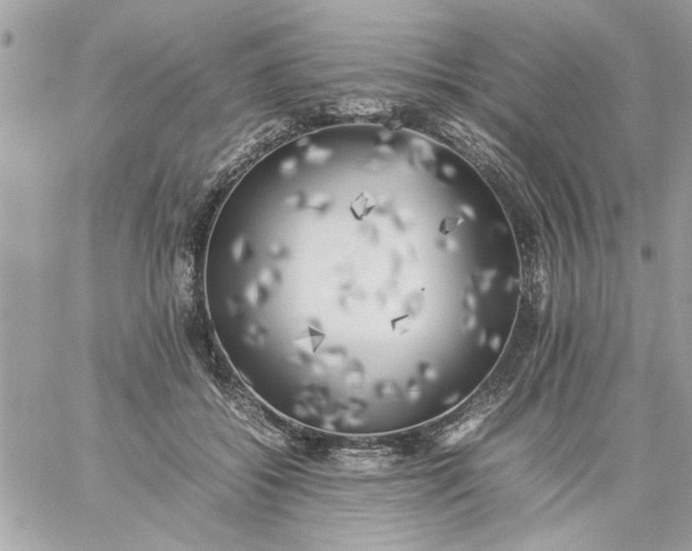 X0000059230556200510281908