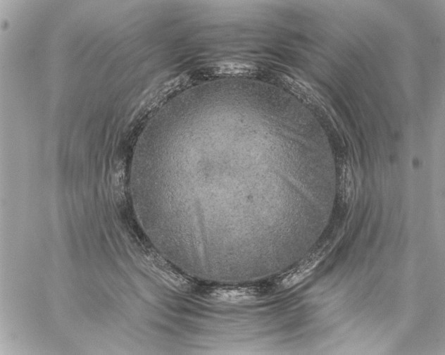 X0000059230557200510281908