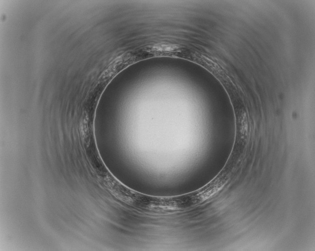 X0000059230559200510281908