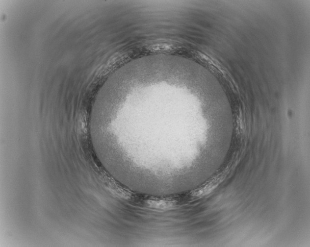 X0000059230561200510281908