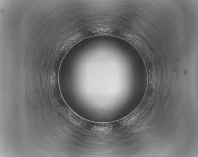 X0000059230563200510281908