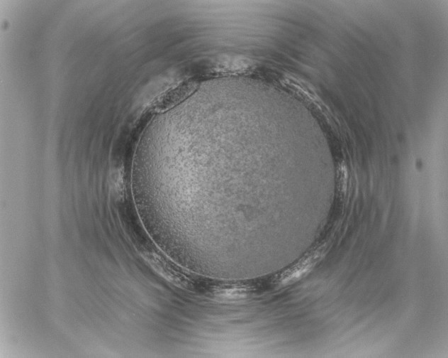 X0000059230564200510281908