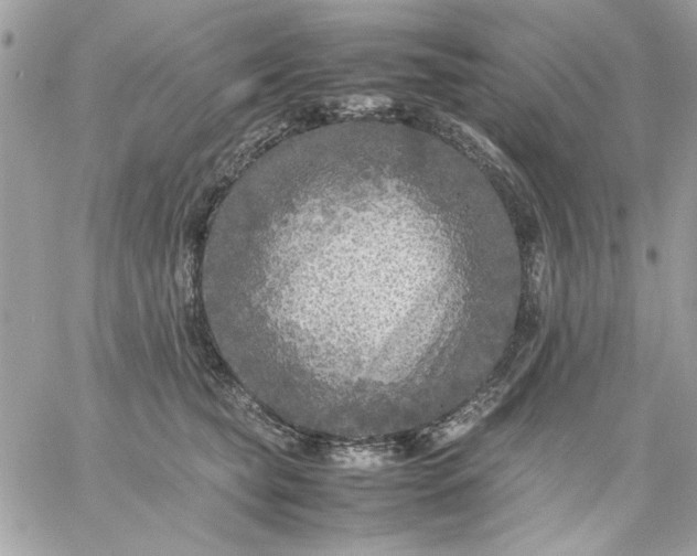 X0000059230565200510281908