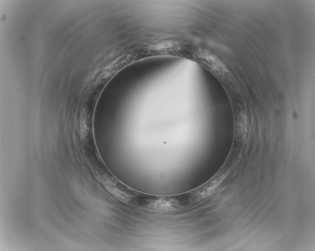 X0000059230566200510281908