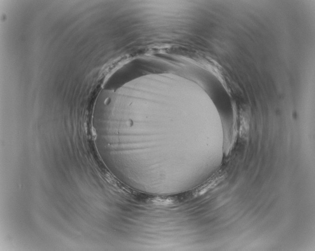 X0000059230570200510281908