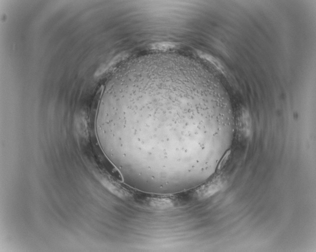 X0000059230572200510281908