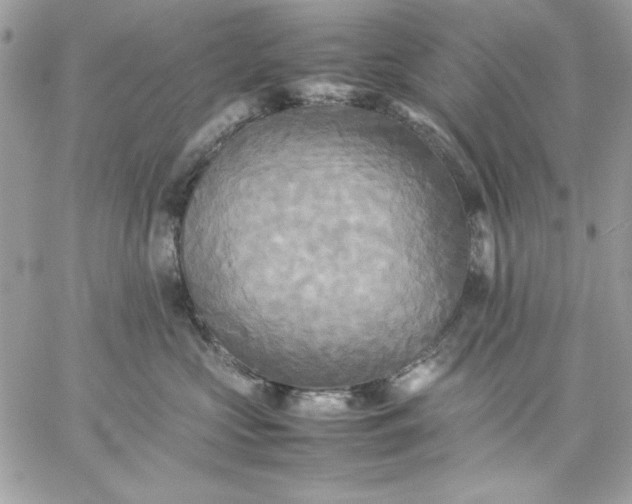 X0000059230573200510281908