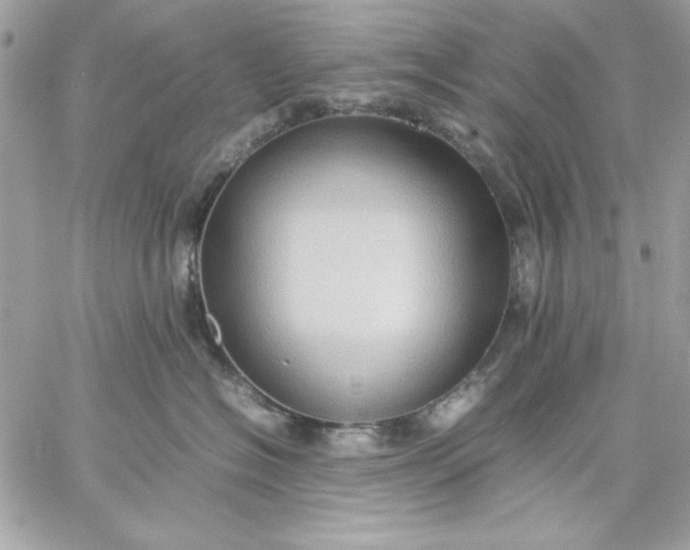 X0000059230574200510281908