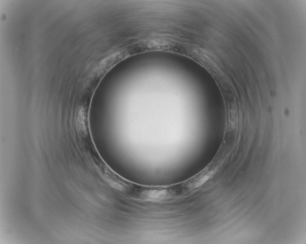 X0000059230575200510281908