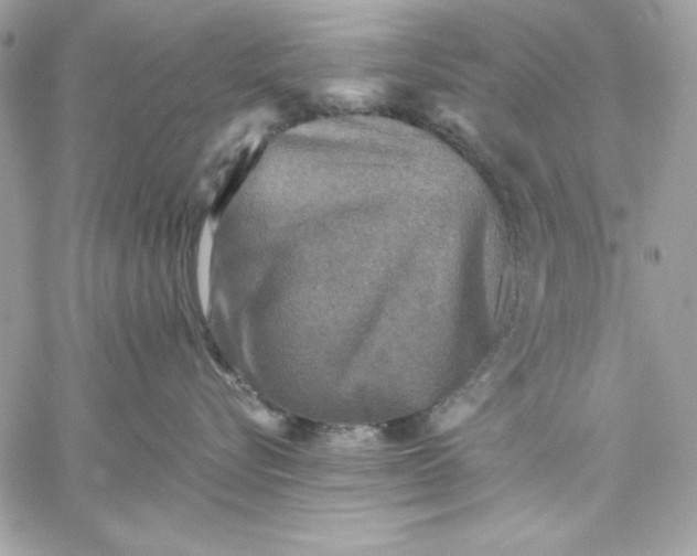 X0000059230576200510281908