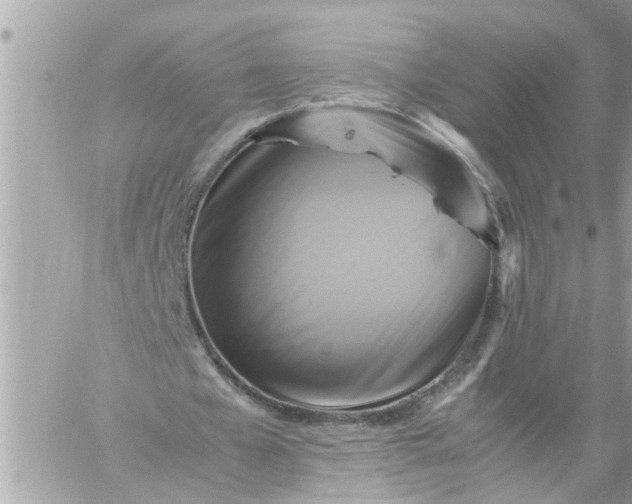 X0000059230577200510281907