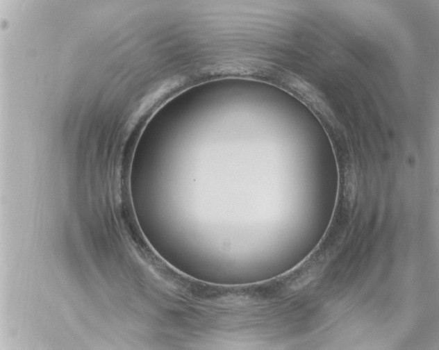 X0000059230578200510281907