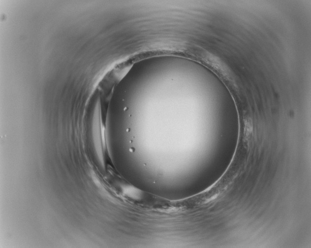 X0000059230580200510281907