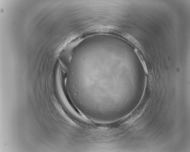 X0000059230581200510281907