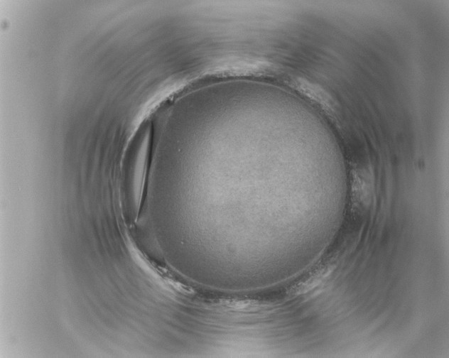 X0000059230582200510281907