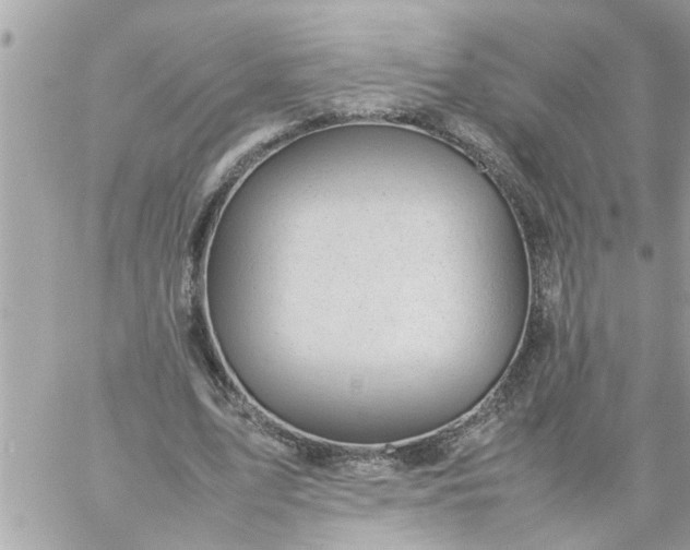 X0000059230583200510281907