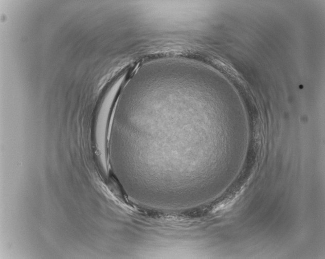 X0000059230585200510281907