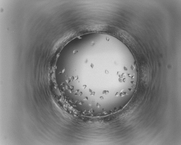 X0000059230586200510281907