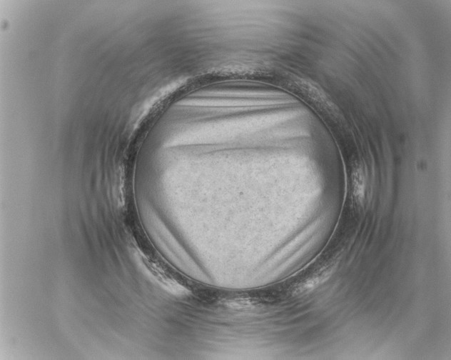 X0000059230588200510281907