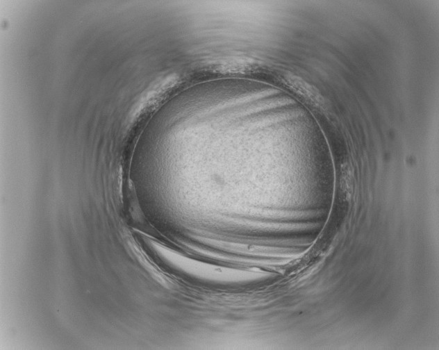 X0000059230589200510281907