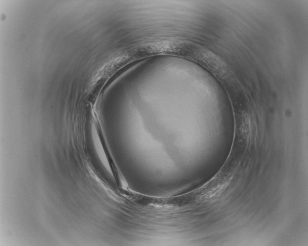 X0000059230590200510281907